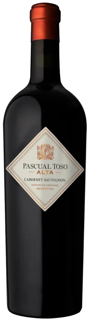 PASCUAL TOSO - ALTA - CABERNET SAUVIGNON