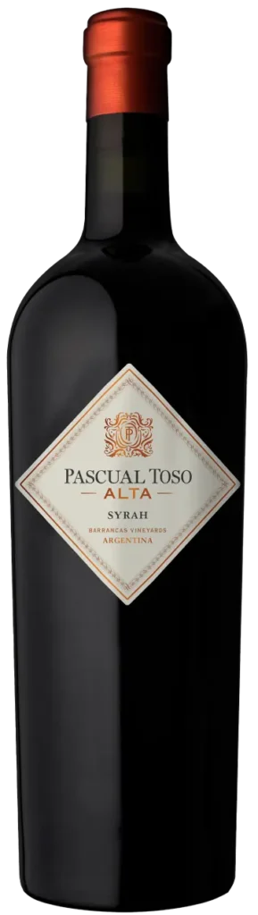 PASCUAL TOSO - ALTA - SYRAH